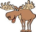 Moose Web Design